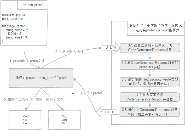 protoc执行过程